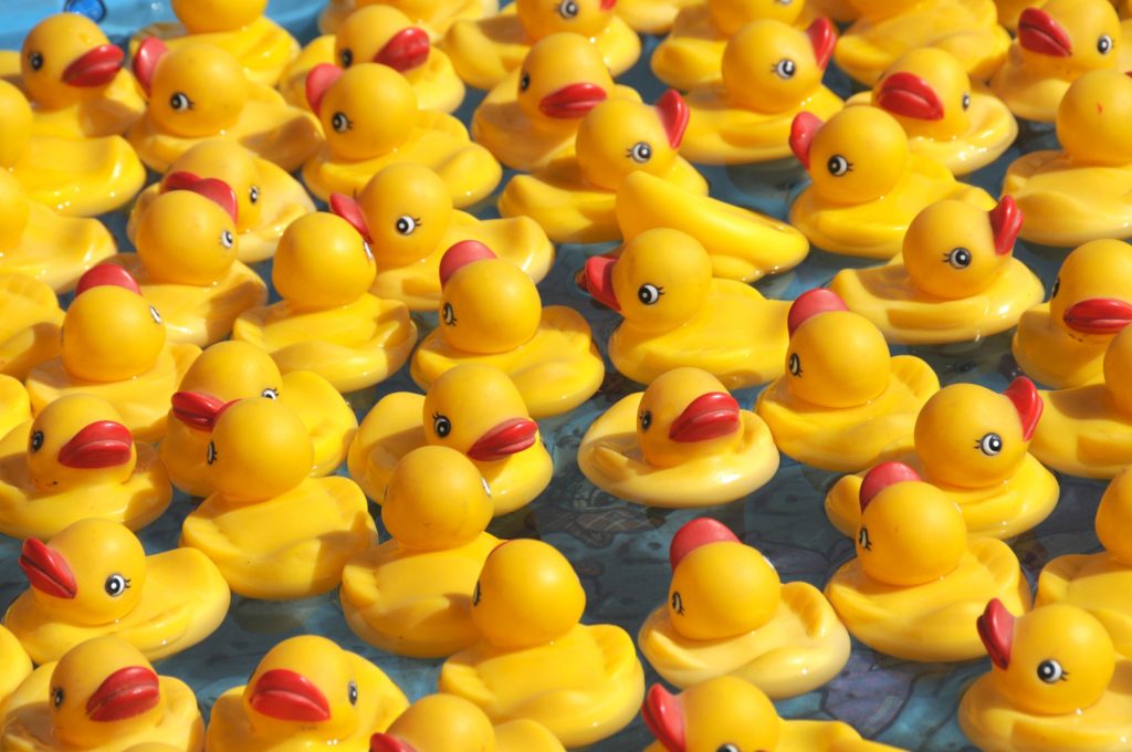 canards